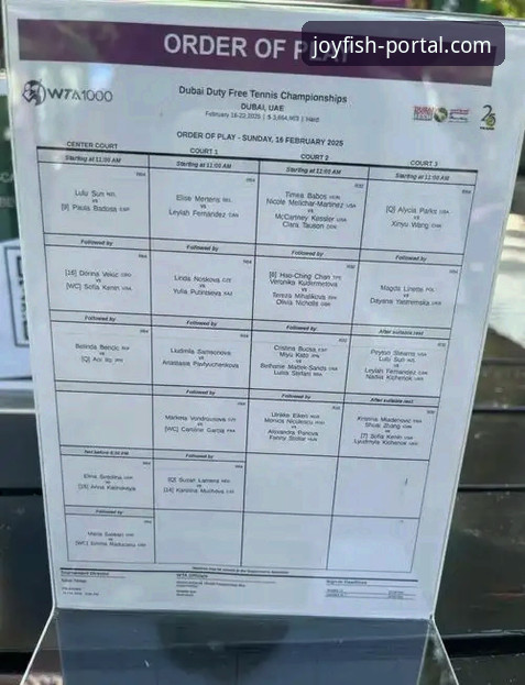 从迪拜到沙漠：解读顶级网球选手参赛危机与观赛指南